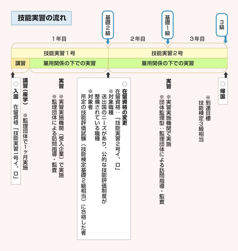 技能実習の流れ